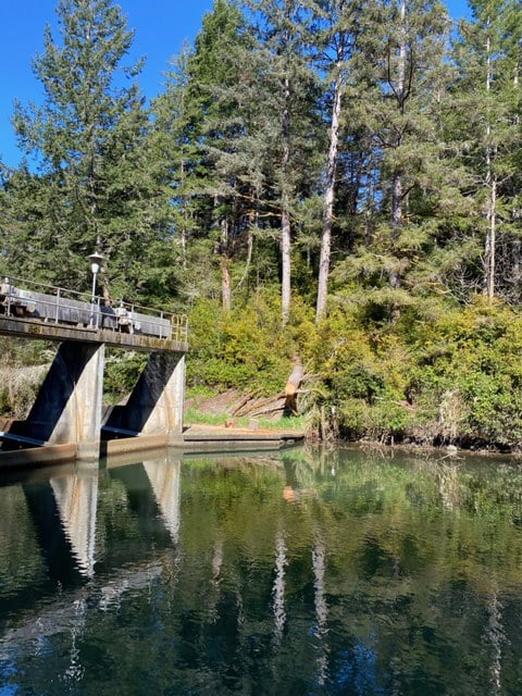 Siltcoos River Dam